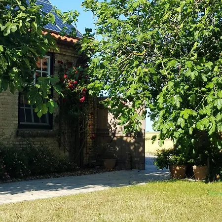 Haus Im Felde Whg 4 Lejlighed *